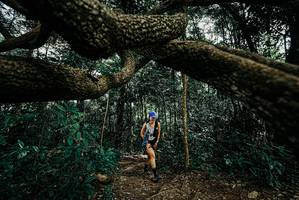 BIB: 
                            <button type="button" onclick="openModal(25665803)" class="btn btn-primary btn-sm float-right btn-popup" data-toggle="modal" data-target=".modal-high-quality">
                        <i class="fas fa-shopping-cart"></i> Add to Cart
                    </button>
                                            <button type="button" onclick="isThisMe(25665803, true)" class="btn btn-success btn-sm float-right btn-popup btn-isme hidden" data-toggle="tooltip" data-placement="bottom" title="นี่คือรูปของคุณใช่ไหม คลิกที่นี่เพื่อเอาเข้าอัลบั้ม">
                        <i class="fas fa-plus"></i> Add to album
                    </button>
                    <button type="button" onclick="isThisMe(25665803, false)" class="btn btn-warning btn-sm float-right btn-popup btn-isnotme hidden">
                        <i class="fas fa-ban"></i> Remove from album
                    </button>